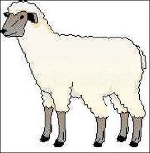 moutons a cinq pattes